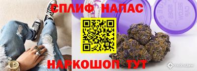 сатива Коммунар