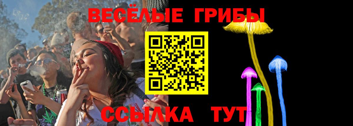 Псилоцибиновые грибы GOLDEN TEACHER Карпинск