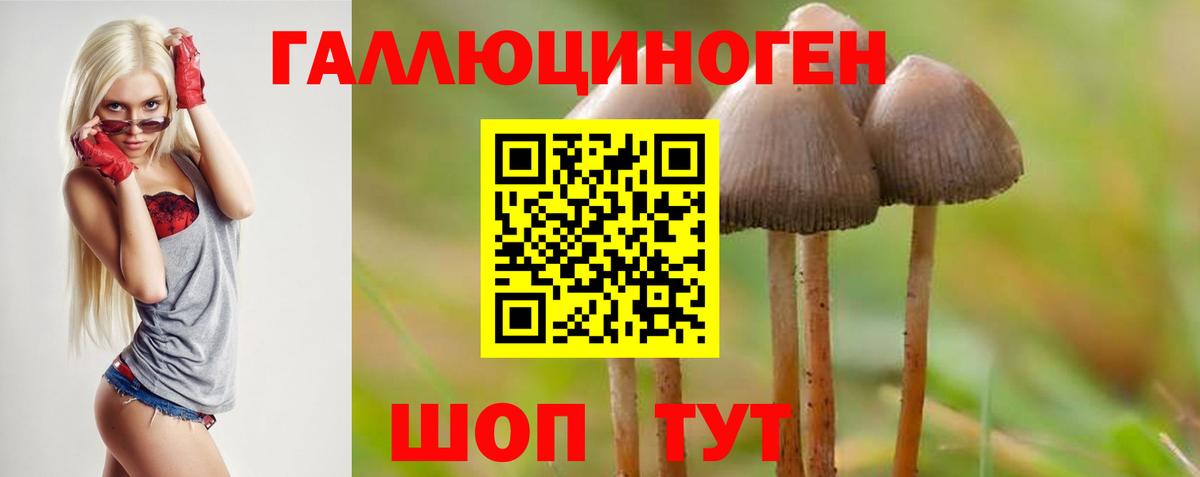 Псилоцибиновые грибы GOLDEN TEACHER  Вход с VPN  наркотики  Карпинск 